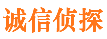 确山外遇调查取证